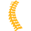 Neuroeje