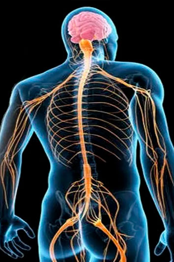 fisioterapia-invasiva-neuroeje1